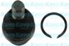 KAVO PARTS SBJ-6550 Ball Joint
